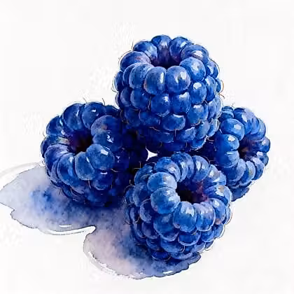 For pieces of blue raspberries