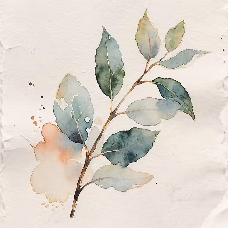 Feuilles d'eucalyptus vert