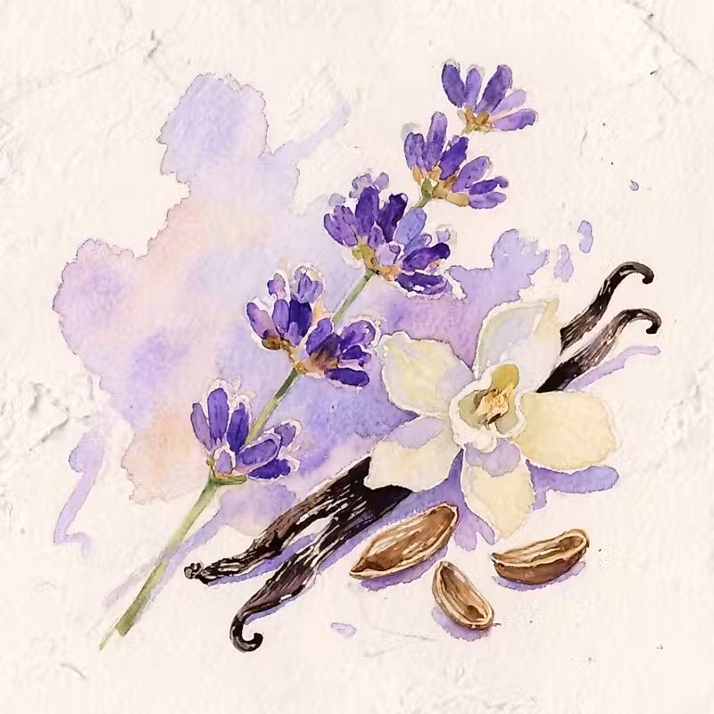 tige de lavande avec des fleurs violettes à côté d'une fleur de vanille blanche et des gousses
