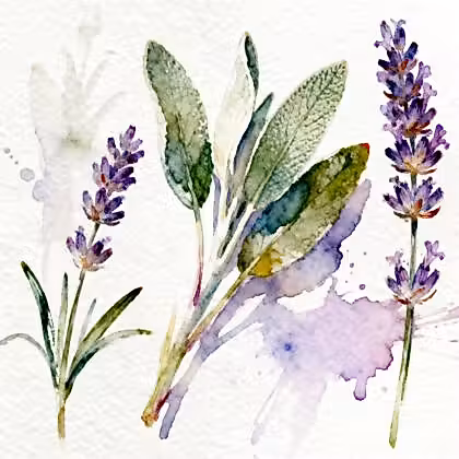 Two lavender flowers next to a green plant
