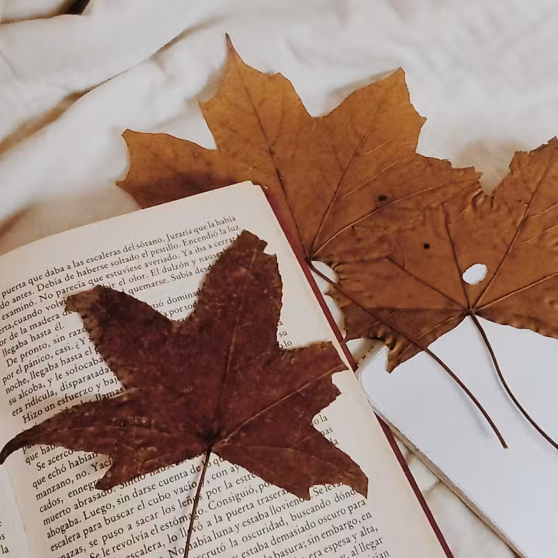 feuilles d'automne sur un livre ouvert