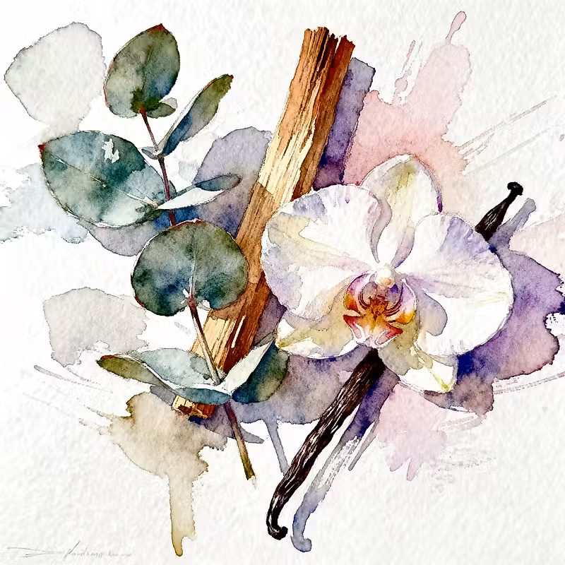 aquarelle de quelques feuilles d'eucalyptus et d'une fleur d'iris à côté d'un bâton de bois de santal naturel et d'une gousse de vanille, réalisée avec des coups de pinceau libres et expressifs