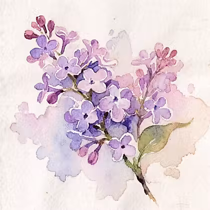 watercolor painting of purple lilac flowers and one leaf in the stem