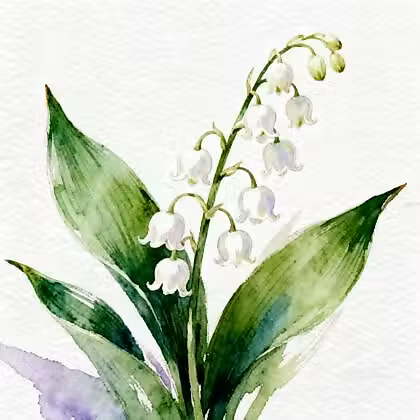 White flowers with green big leaves