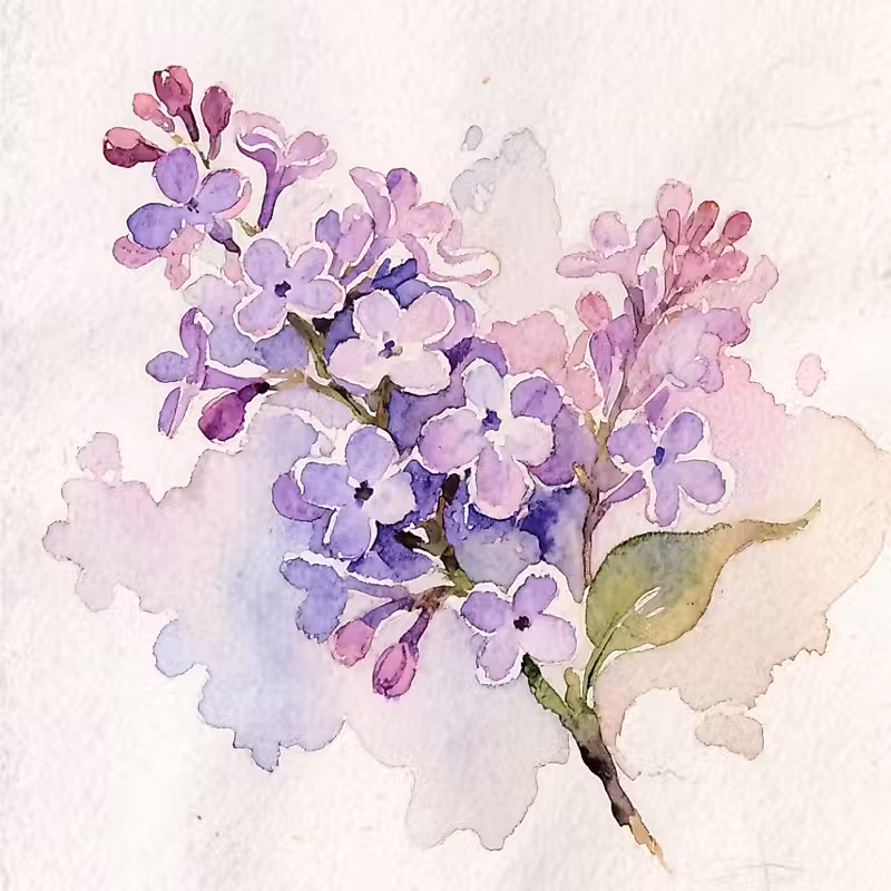 peinture à l'aquarelle de fleurs de lilas violettes et une feuille sur la tige