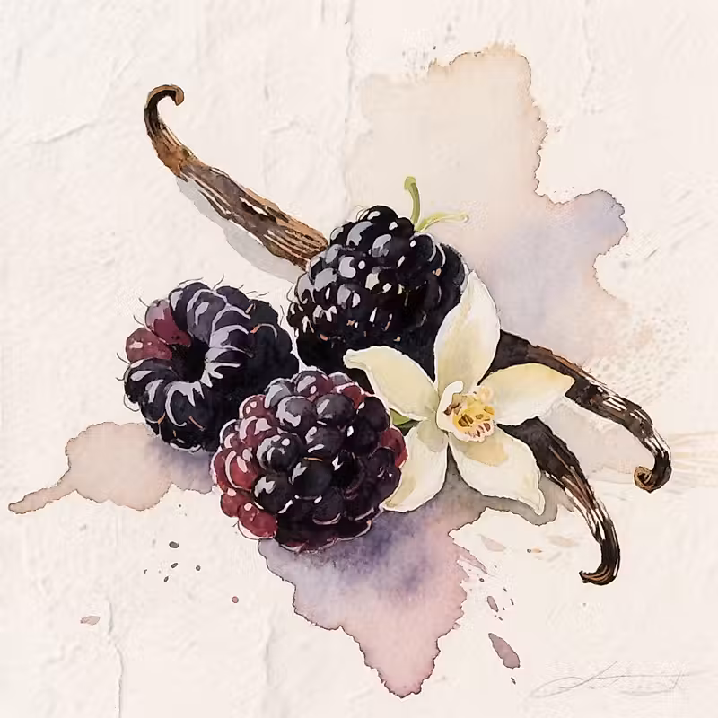 quelques morceaux de framboises noires fraîches avec une gousse de vanille et une fleur de vanille.