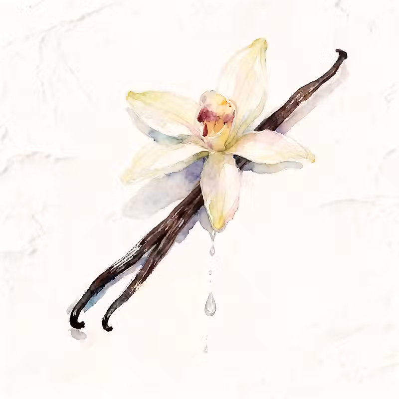 Deux gousses de vanille avec une fleur au sommet